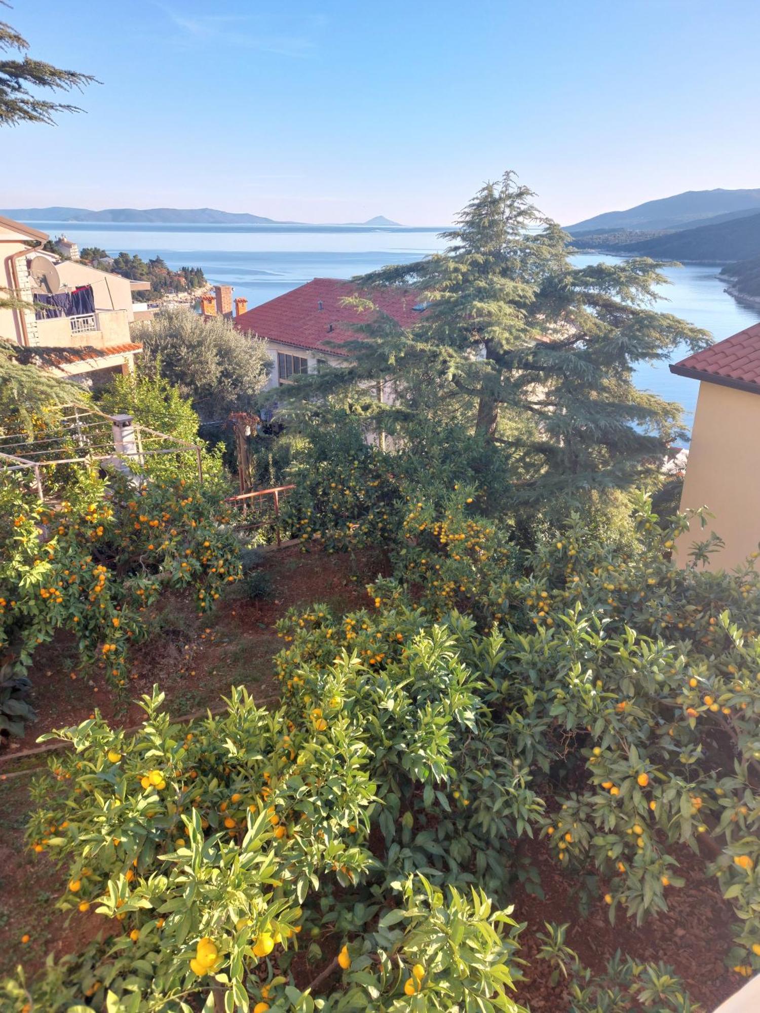 Apartment Park Rabac Exteriör bild